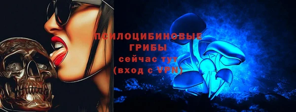 винт Покров