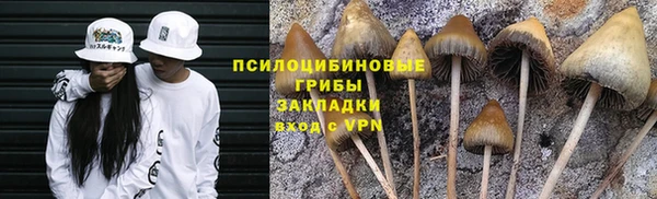 тгк Покачи
