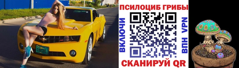 Купить где  Салаир  Галлюциногенные грибы MAGIC MUSHROOMS 