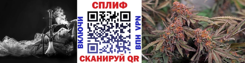 Каннабис ГИДРОПОН Салаир